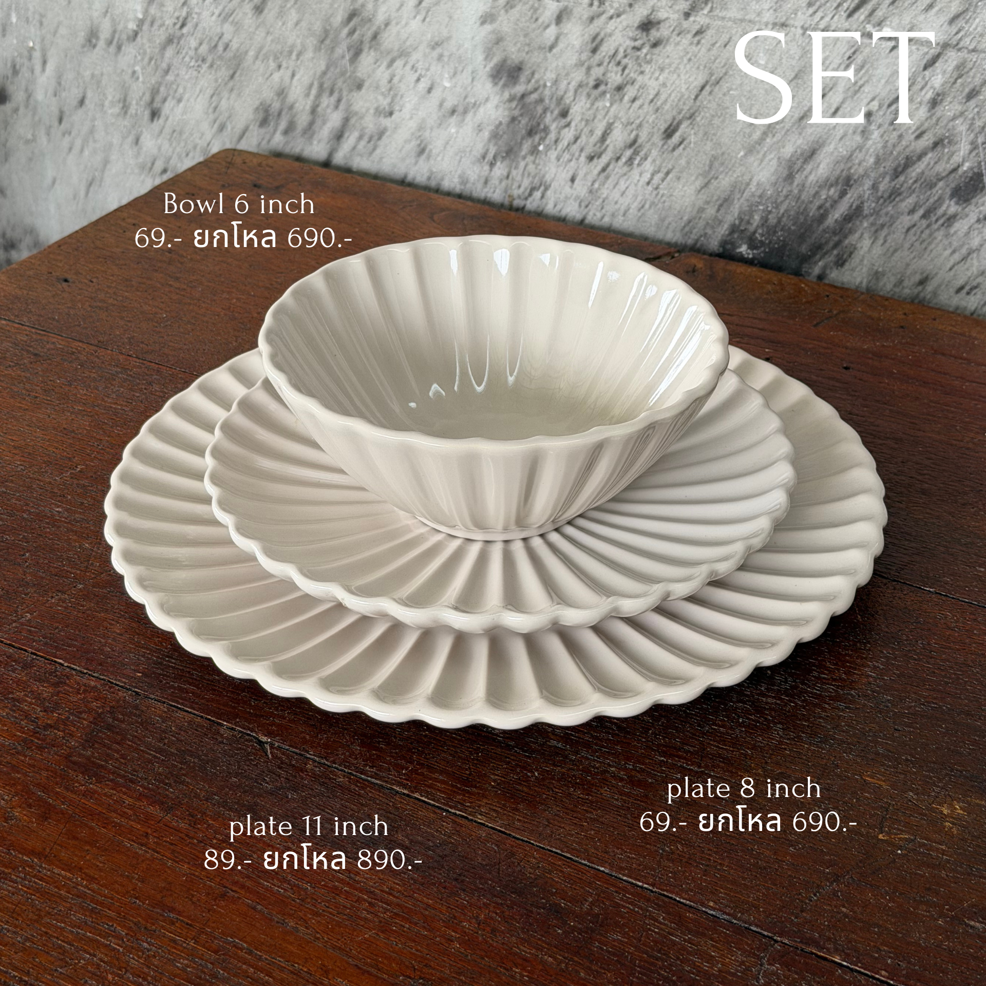 SCALLOP Beige"11" - Collection