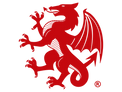 DRAGON FIREARMS GLOBAL SYMBOL TRANSPARENT.png