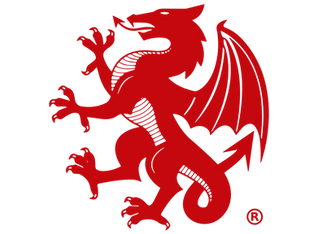 DRAGON FIREARMS GLOBAL SYMBOL TRANSPARENT.png
