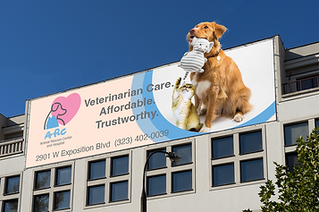 billboard-vet-hannah.png