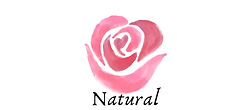 Natural botanicals icon — plant-based ingredients.
