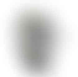 Copperhead Squadt - White