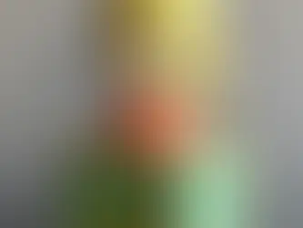 2013 7th Molly anniversary