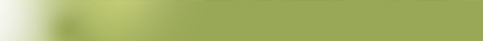 Lotus Luxury Eacapes Website header 2.png