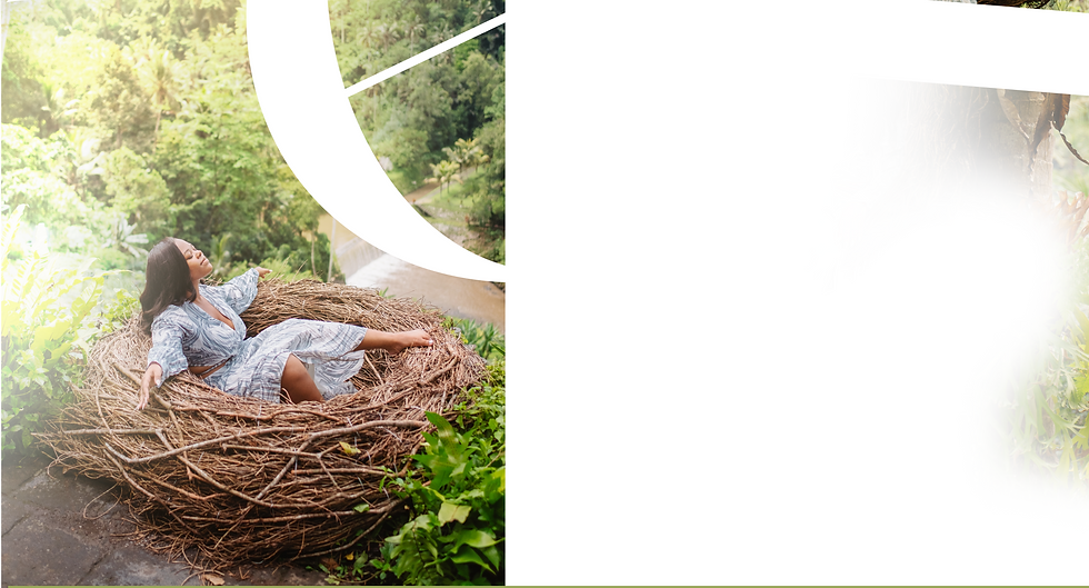 Lotus Luxury Eacapes Website header 5.png