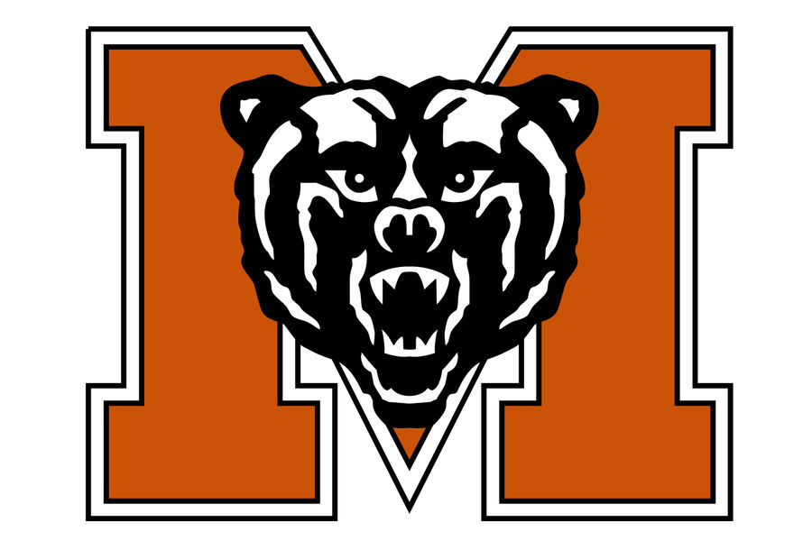 600719409e375 (2).jpeg