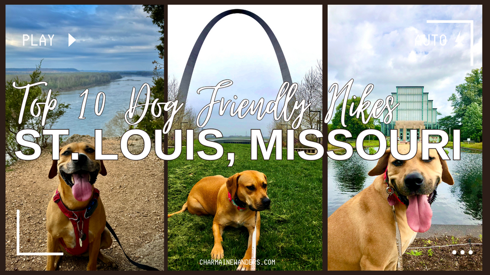 Top 10 Dog-Friendly Trails Around St. Louis
