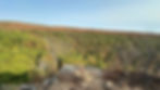 How to Make the Most of 24 Hours Vast forest landscape with autumn foliage in shades of green, orange, and brown. Rocky cliff edge in foreground. Clear blue sky above. Mount Magazine, Arkansas