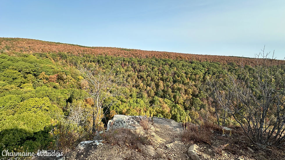Vast forest landscape with autumn foliage in shades of green, orange, and brown. Rocky cliff edge in foreground. Clear blue sky above. Mount Magazine, Arkansas
