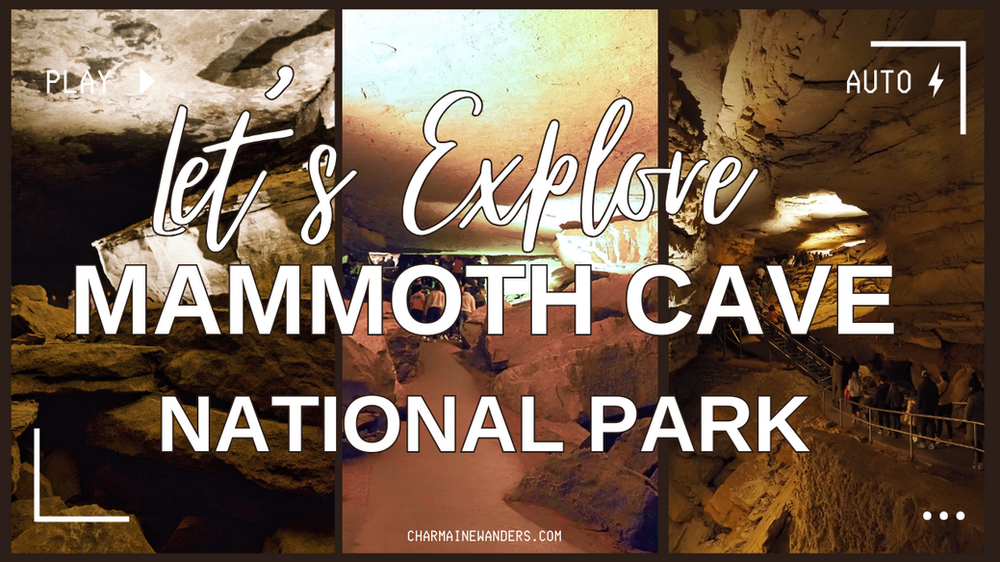 Mammoth Cave National Park: A Wild, Unexpected Adventure (With a Few Caveats)