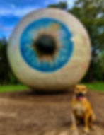 Top 10 Dog-Friendly Trails Around St. Louis Georgia sitting by large eyeball sculpture in park. The sculpture is detailed with blue and brown iris. Trees and sky in the background.