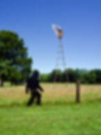 sasquatch in Vienna, IL along the bike trail
