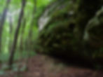 Sand Cave at Shawnee National Forest