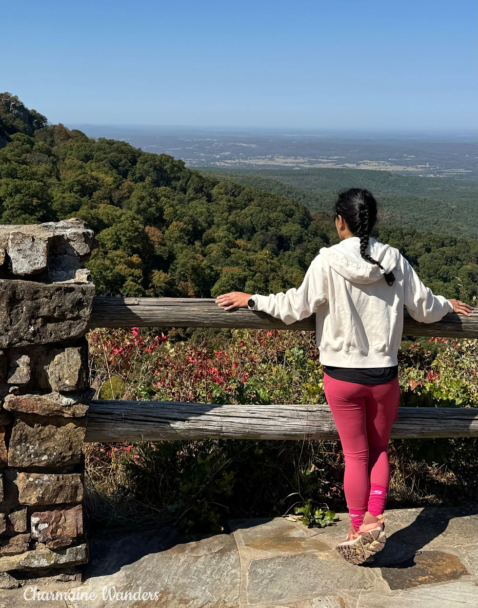 Charmaine in pink leggings and white jacket overlooks forested mountain view. Clear blue sky, stone and wood fence. Mount Magazine, Arkansas