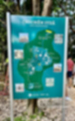 Chichen Itza Day Trip from Cancun Chichén Itzá map sign with images and labels in a wooded area. Two people partially visible on the right, standing nearby.