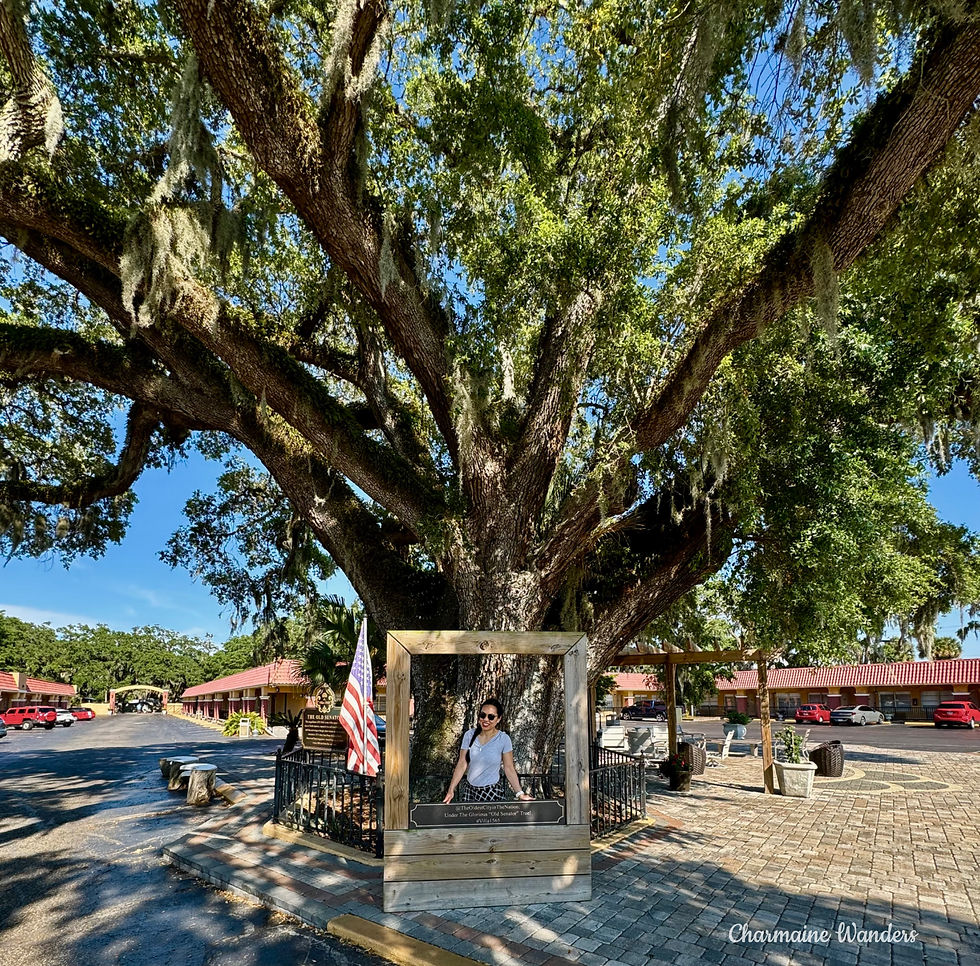 Woman poses in a wooden frame under a large tree with hanging moss. American flag nearby, vibrant green leaves, clear blue sky.