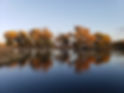 20191121_162315.jpg