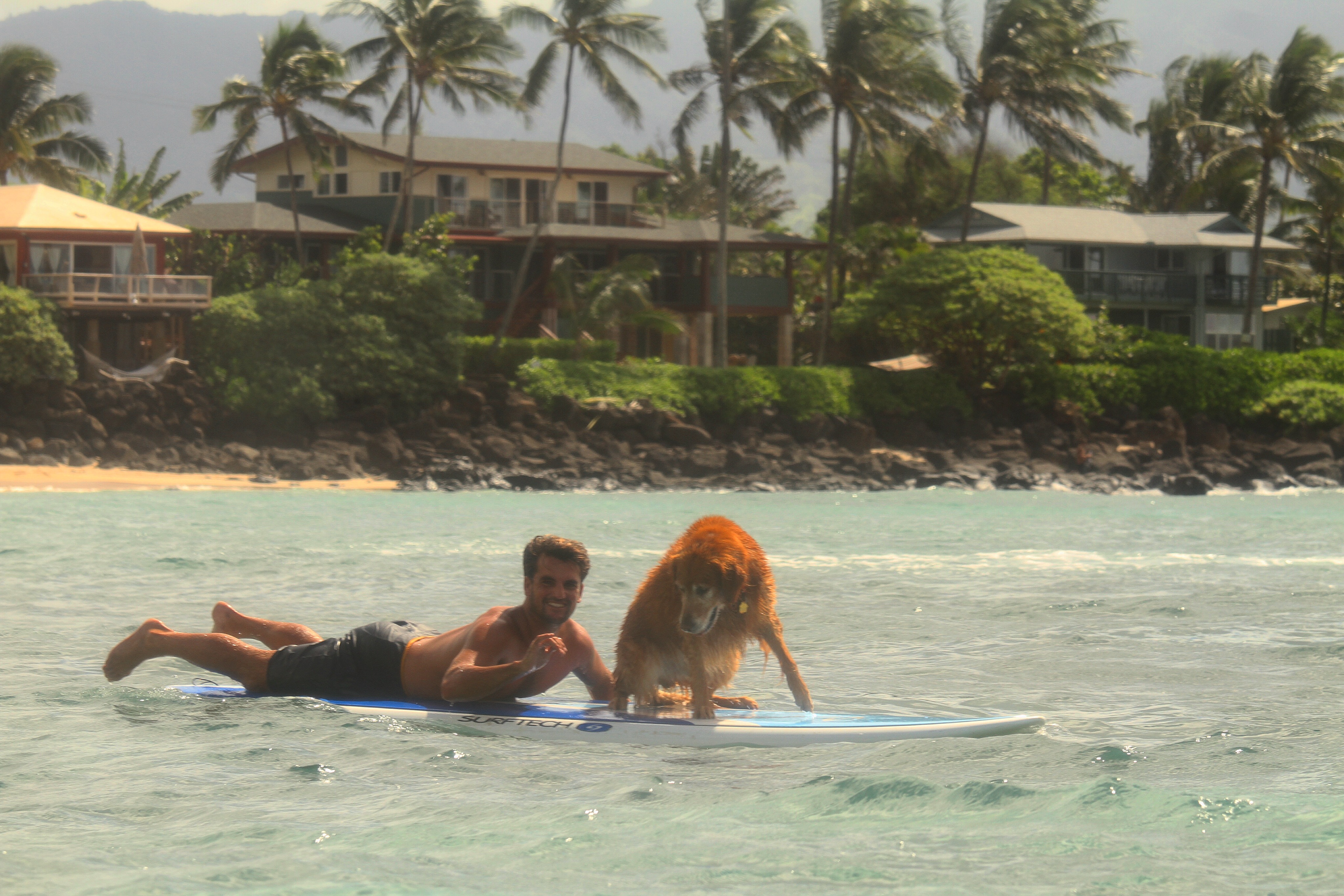 Surfing Lessons North Shore Oahu 808 Surf School Haleiwa Hawaii