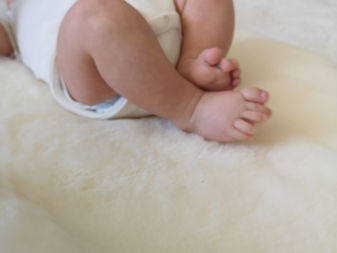 Beneficios de la Lana Merino