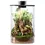 Thumbnail: Bioloark bio bottle terrarium ZD200