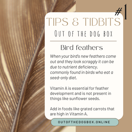 Understanding and Addressing Bad Moulting in Birds