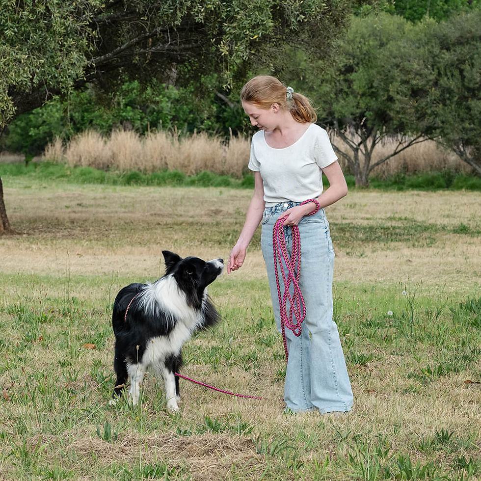 Paracord braided lead 6m