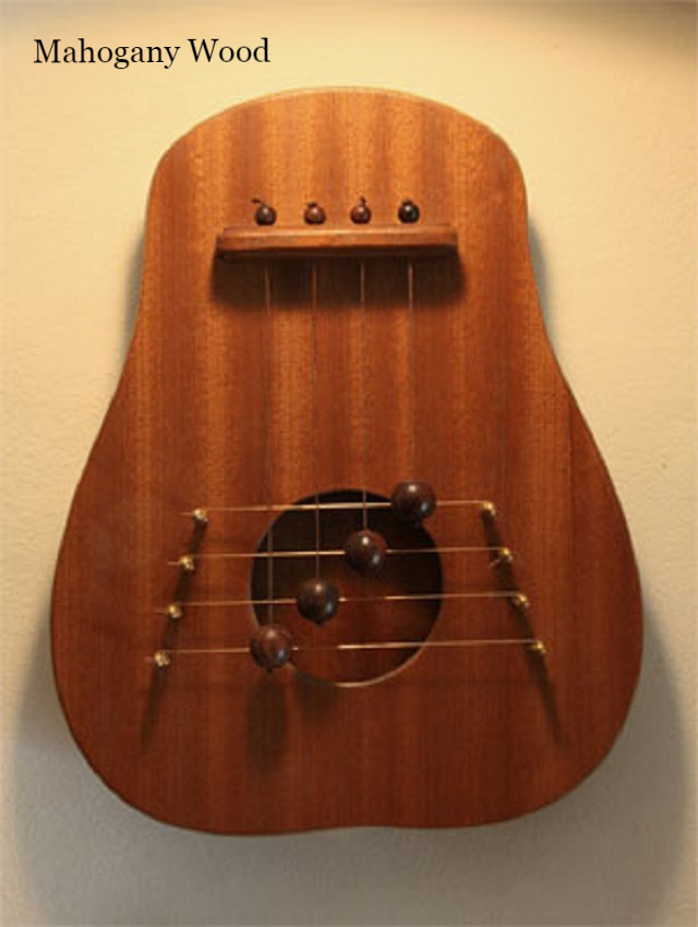 Thumbnail: DAVITA DOOR HARP