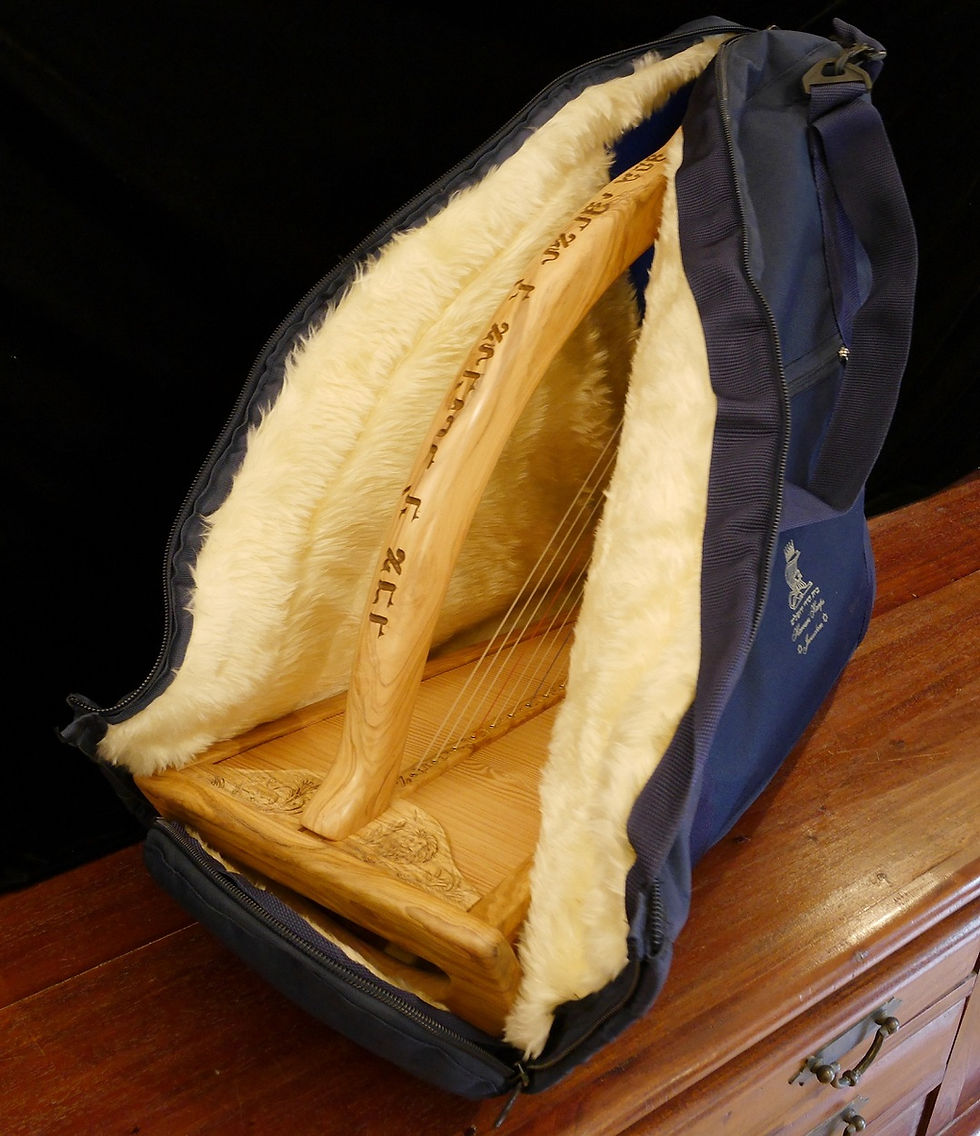Thumbnail: ATARA NEVEL CARRYING CASE