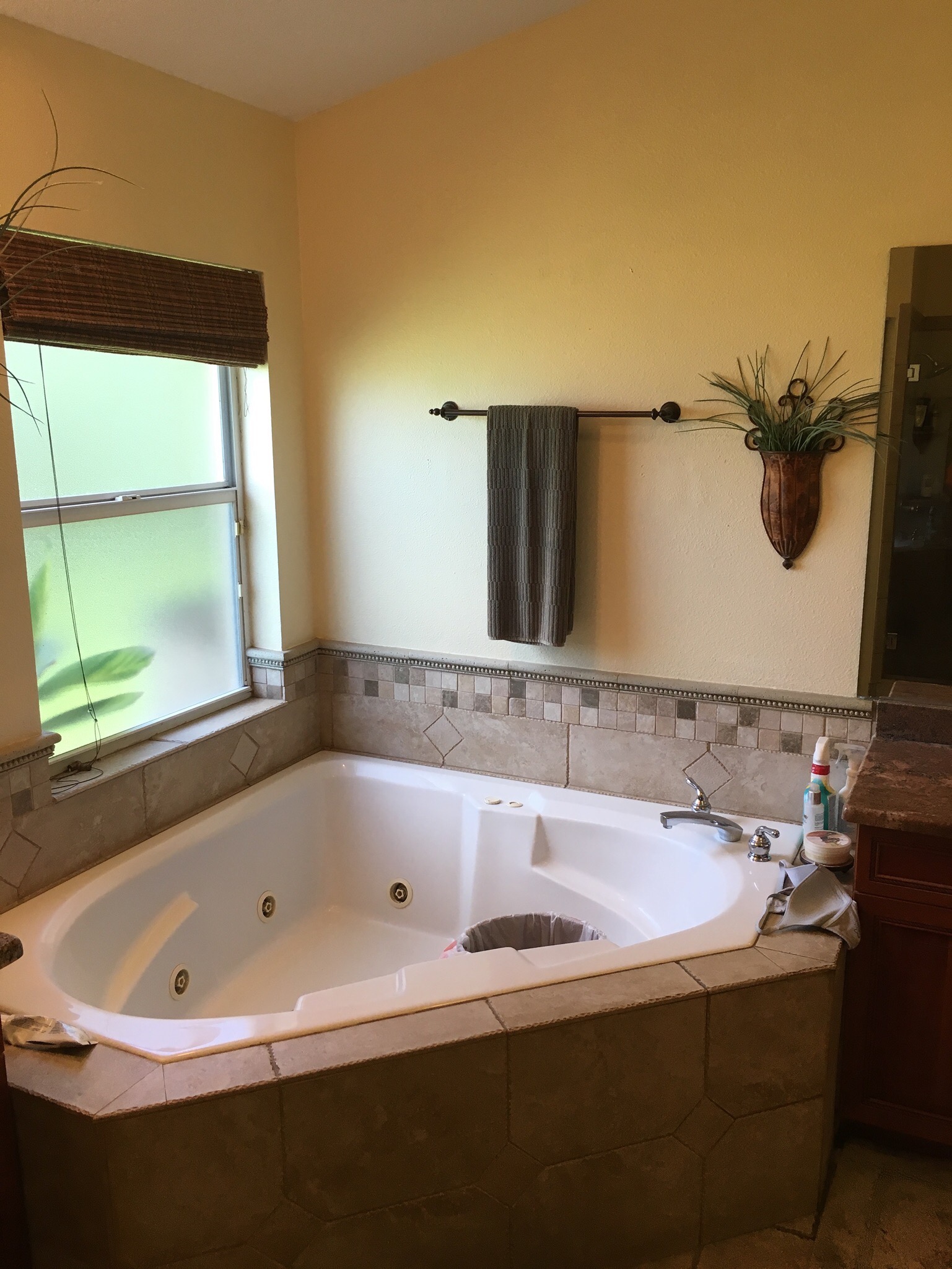 master tub before removal
