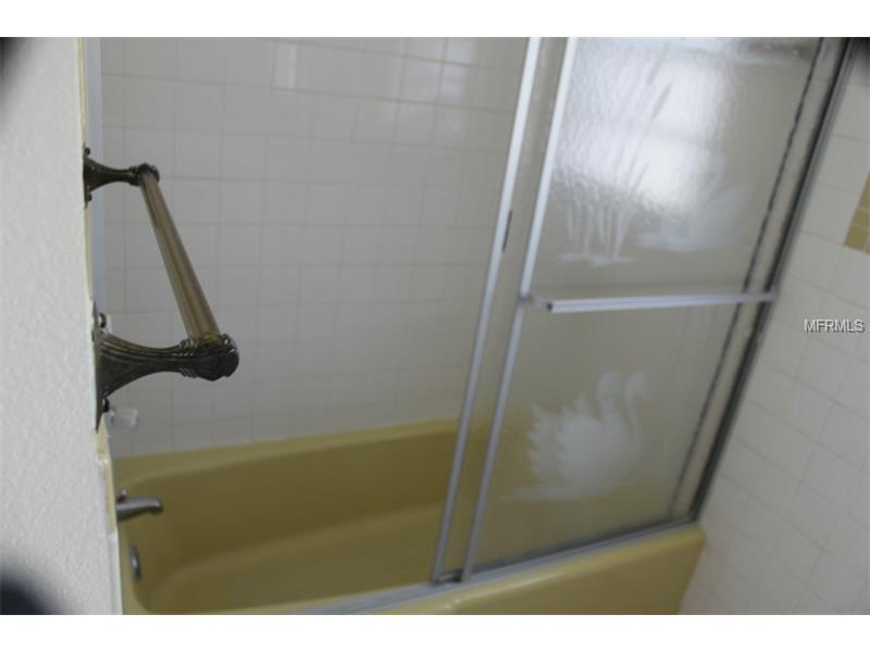 Master Shower Before