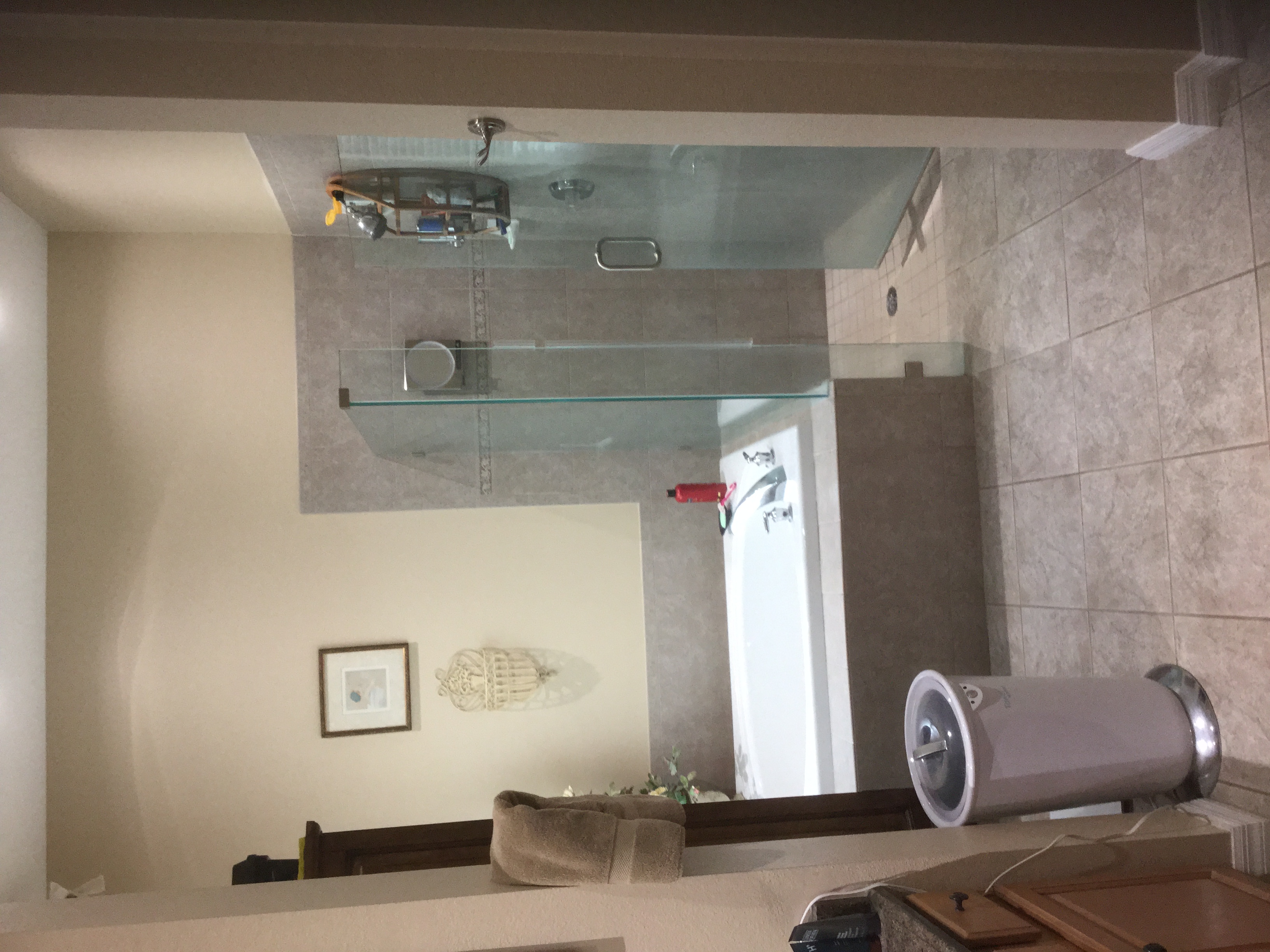 Tub/Shower before