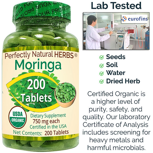 03 Lab.jpg