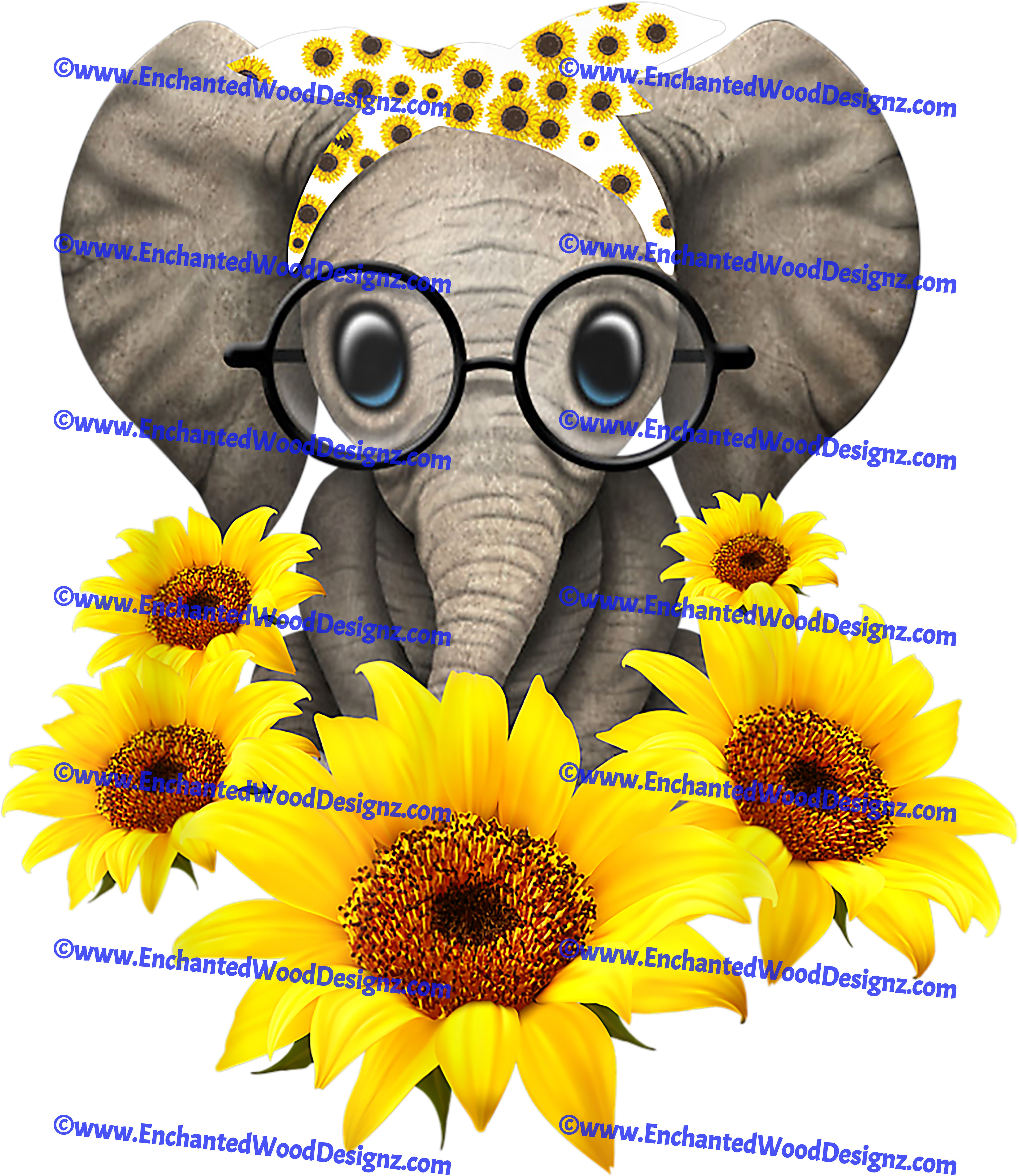 Baby Elephant Sunflowers