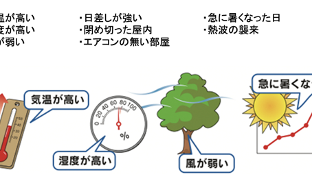 今の時期気をつけたい熱中症