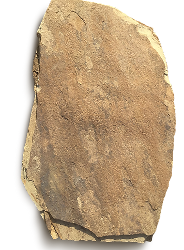 image0.png