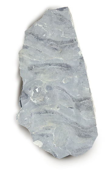 image1.png