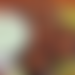 Authentic Beef Chapli Kebabs