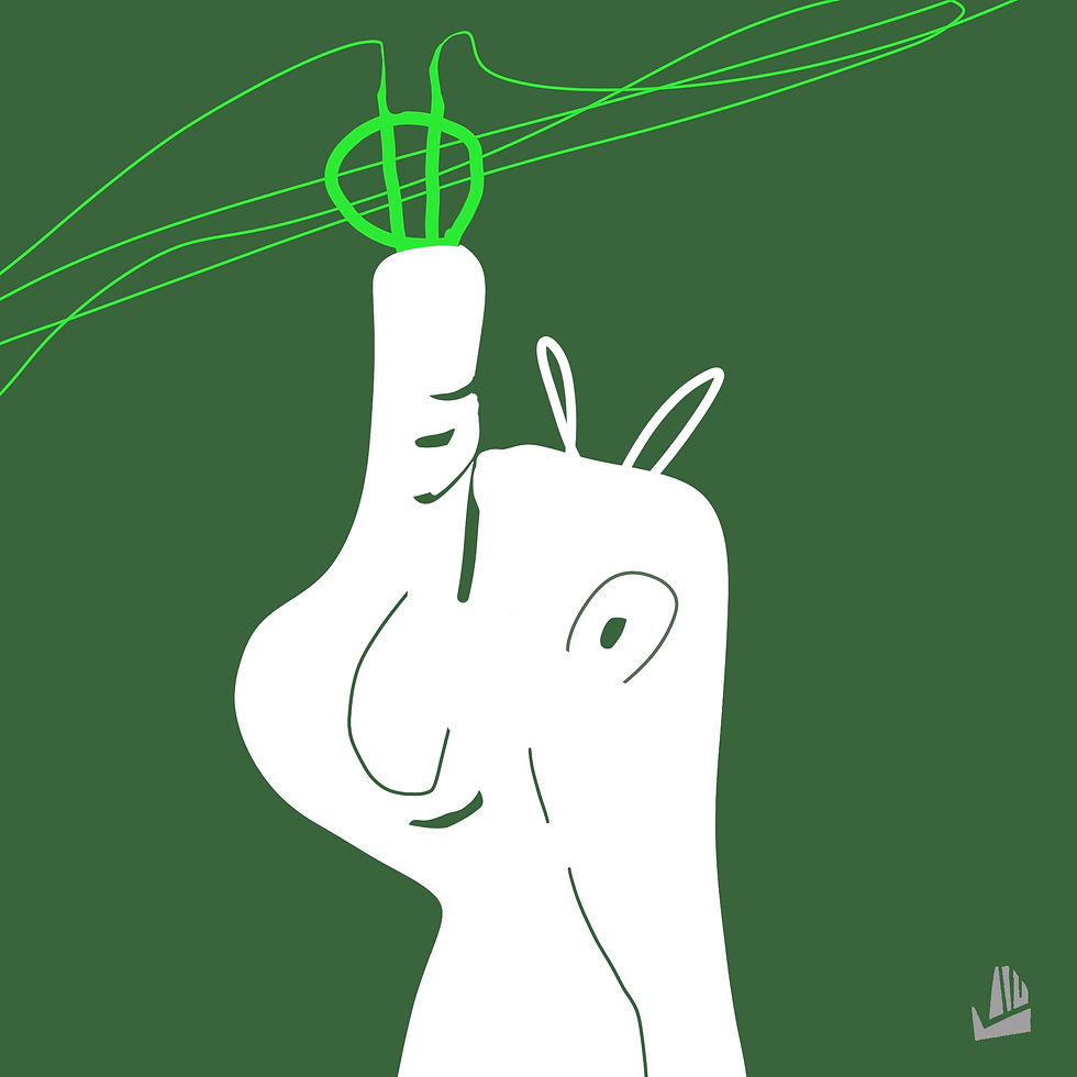 2024-07-13-C "No le tomes el pelo"