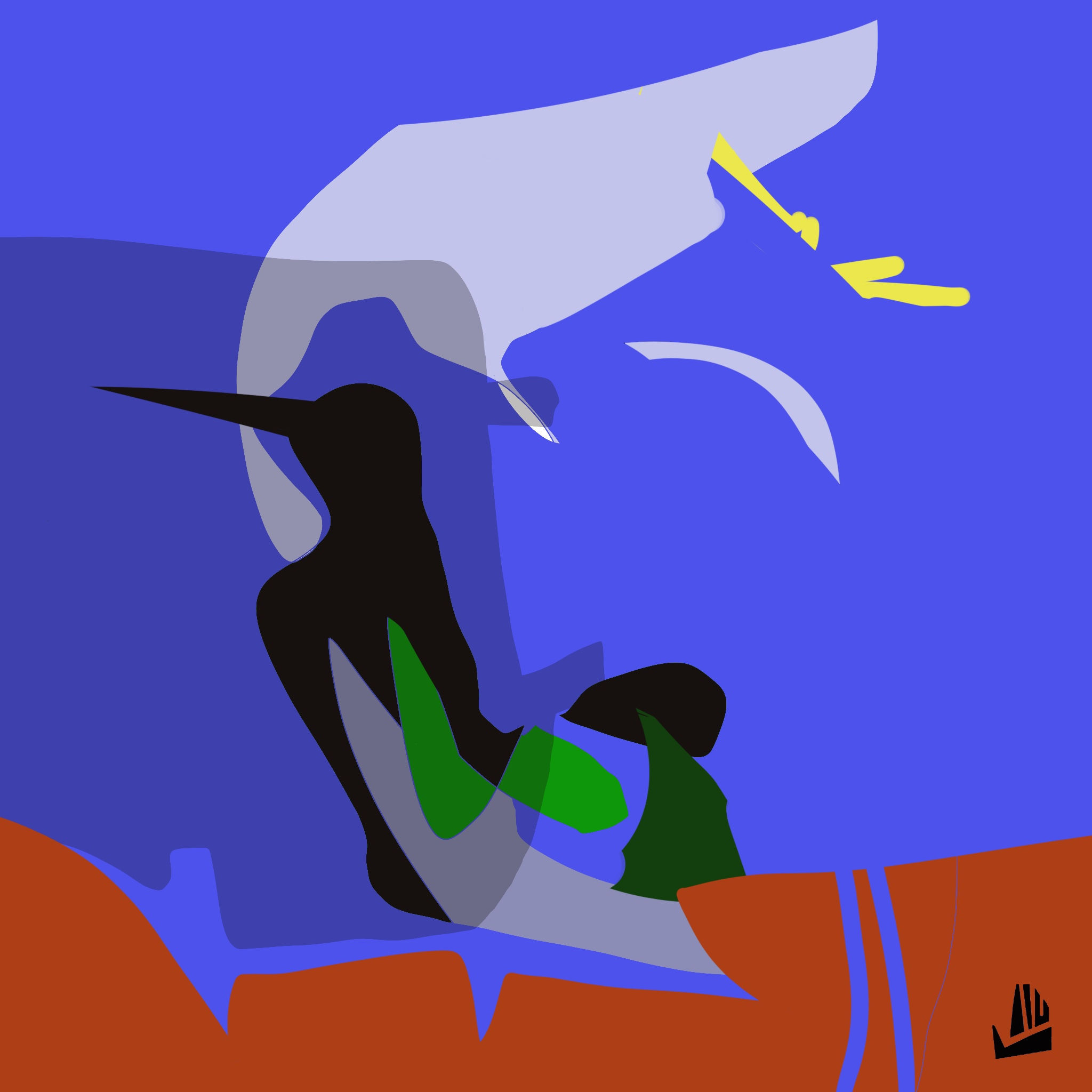 2024-05-30-B "Pájaros"