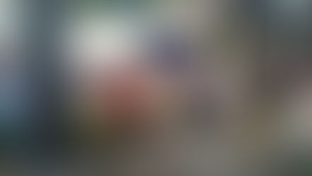 2018年10月 インドネシア事業 現状把握と今後の課題