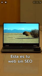 Still Web sin SEO.jpg