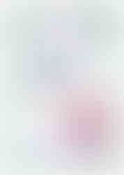 MACAMAY 節能沙龍級飯店吹風機 Model 63節能標章證書