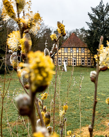 kenners-landlust-frühling-2.jpg