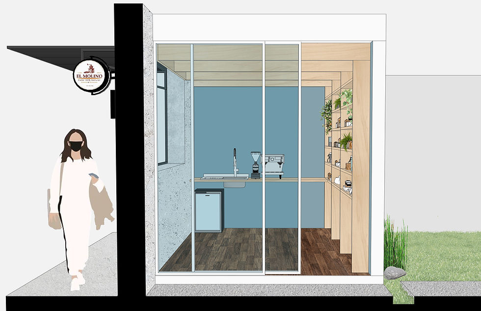 SECCIÓN TRANSVERSAL