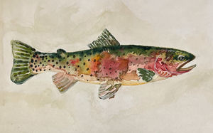 not much lately, just this fish