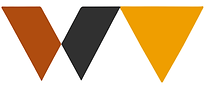 Worldview Team Shirt (1).png