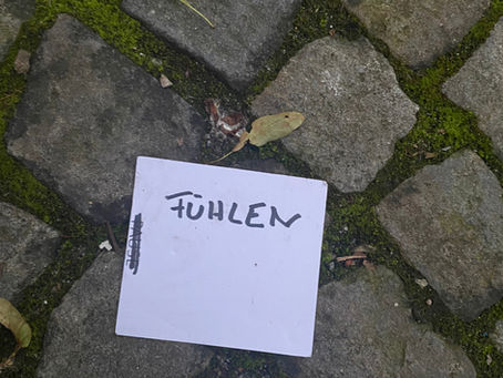 Was denkst du eigentlich über...