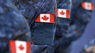 Veteran background image.png