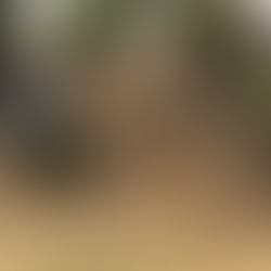 Nelly’s Story | Meadowlands Community