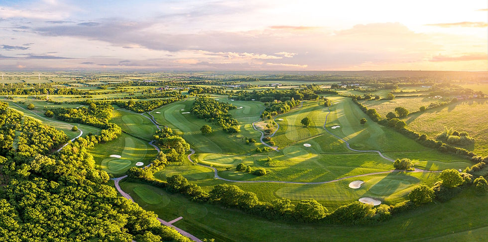 The Heron Country Club